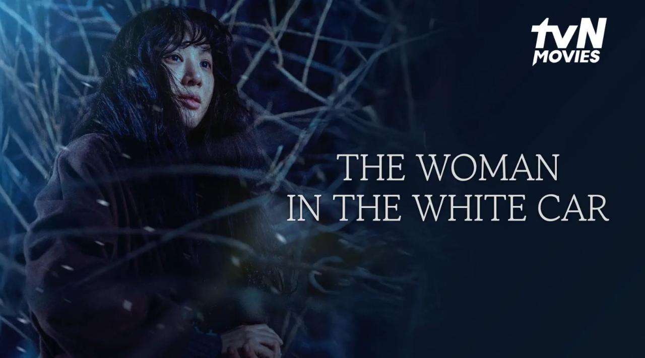 مشاهدة فيلم The Woman in the White Car 2025 مترجم